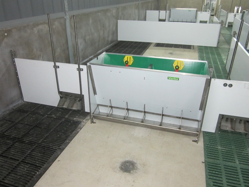 Duodrinker con comedero SL con borde antiderrame especial Bebedero doble 2x2 y SL673D KR con borde especial antiderrame y separadores para los compartimentos de alimentación